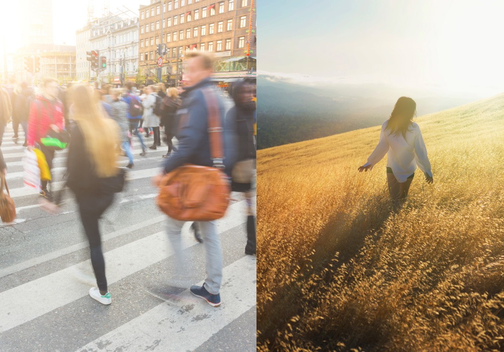 Side-by-side images of a busy urban crossing and a woman walking through a golden field, symbolising overstimulation versus calm awareness.