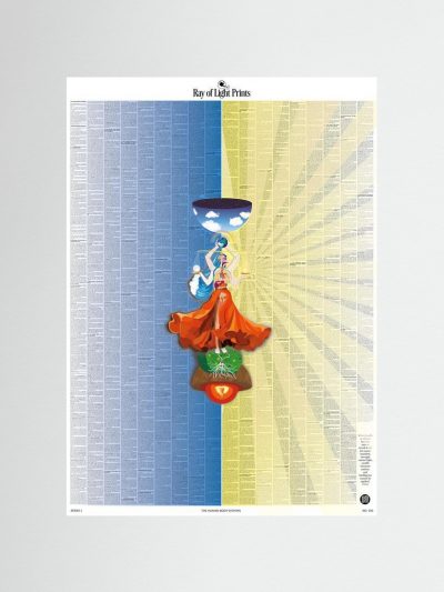 Human Body Systems Print